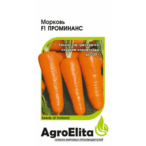      F1, 150, AgroElita, Enza Zaden  -     , -,   