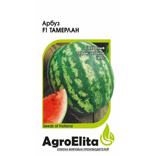      F1, 5, AgroElita, Nunhems  -     , -,   