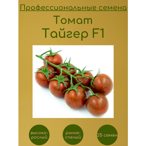     F1 25   -     , -,   