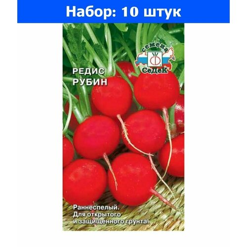     3  () - 10    -     , -,   