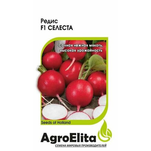      F1 (AgroElita) 0,5 ( )  -     , -,   