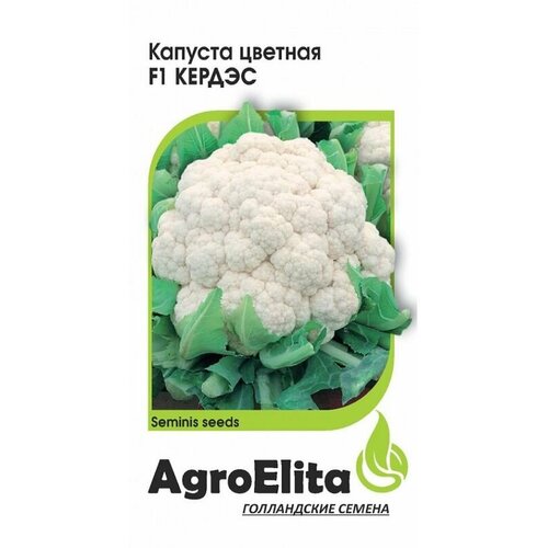       F1 . (AgroElita) 10 ()  -     , -,   