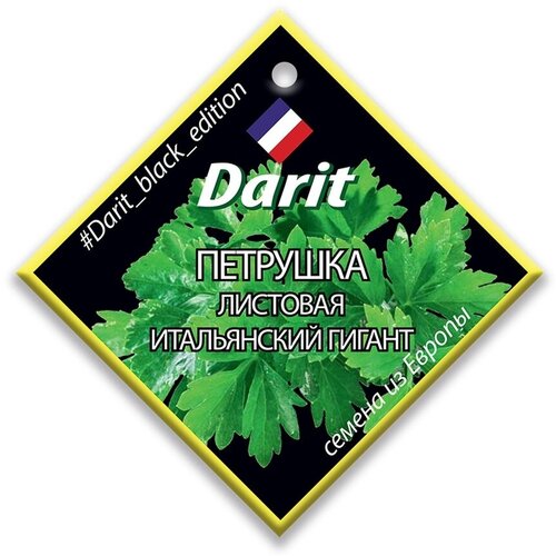       Darit Black Edition 6   -     , -,   