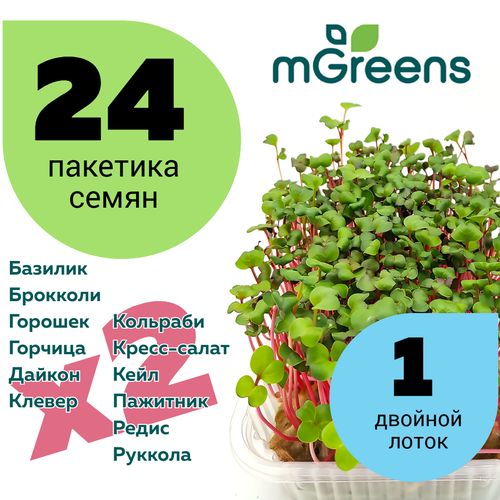   Home Market Green /      24       -     , -,   