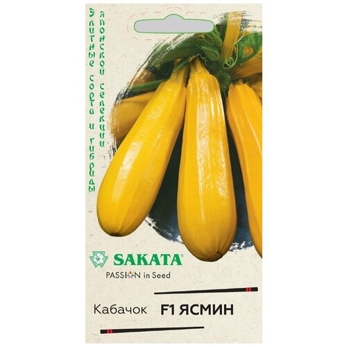     F1, Sakata  -     , -,   