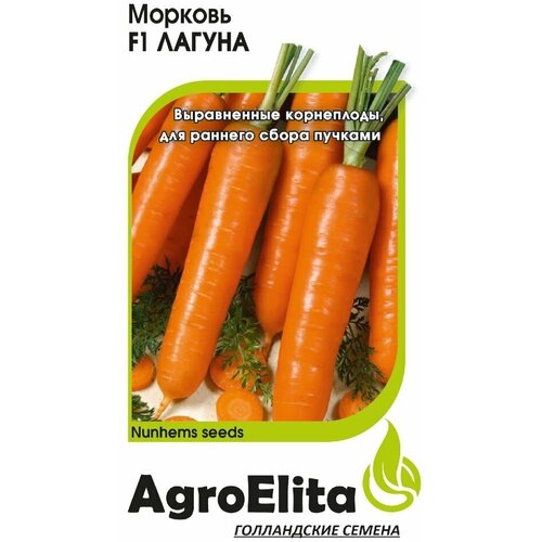      F1, 0,3, AgroElita, Nunhems  -     , -,   