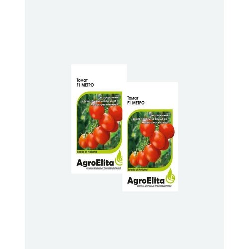      F1, 5, AgroElita, Nunhems(2 )  -     , -,   