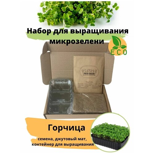        Fresh Greens ( ,  ,   )  -     , -,   