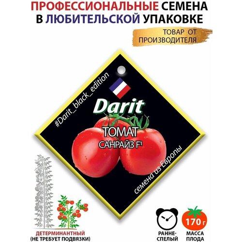      F1 Darit Black Edition   -     , -,   