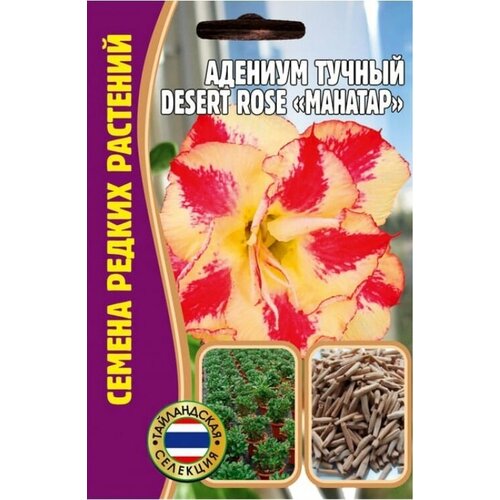     Desert rose MAHATAP (1  * 3 )    -     , -,   