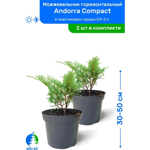    Andorra Compact ( ) 30-50     0,9-3 , ,   ,   2 