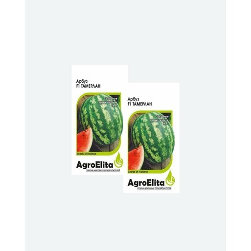      F1, 5, AgroElita, Nunhems(2 )  -     , -,   