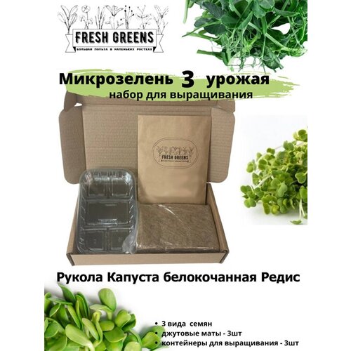       Fresh Greens (   )  -     , -,   