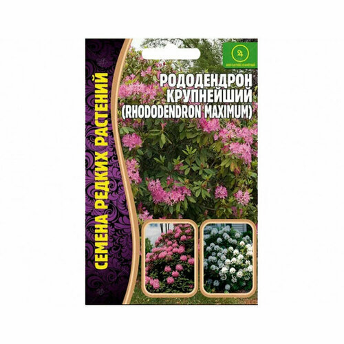      (Rhododendron maximum) (0,01 )  -     , -,   