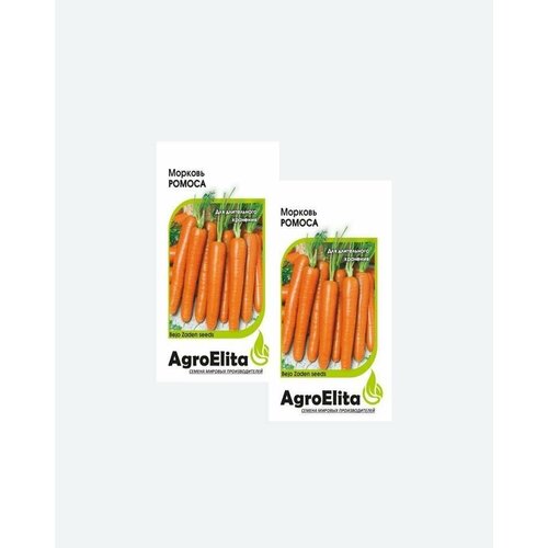     , 0,5, AgroElita, Bejo(2 )  -     , -,   