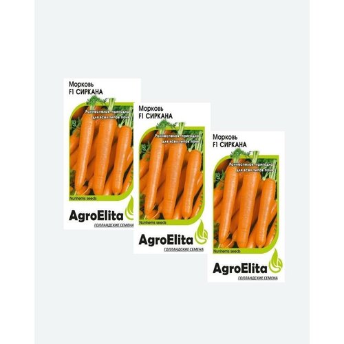      F1, 0,3, AgroElita, Nunhems(3 )  -     , -,   