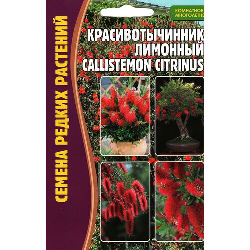     / CALLISTEMON CITRINUS,  ( 1 : 0,1  )  -     , -,   