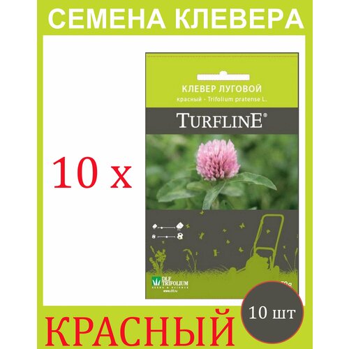         Trifolium Protense L TURFLINE DLF 500  (50 . - 10 )