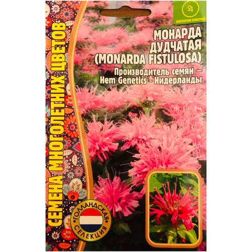      (Monarda fistulosa) (0,1 )  -     , -,   