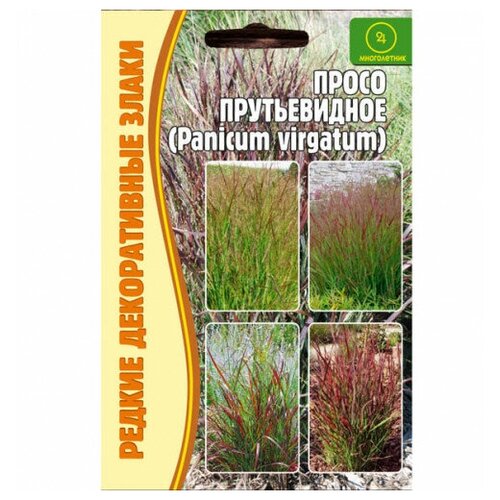      (Panicum virgatum) (0,1 )  -     , -,   