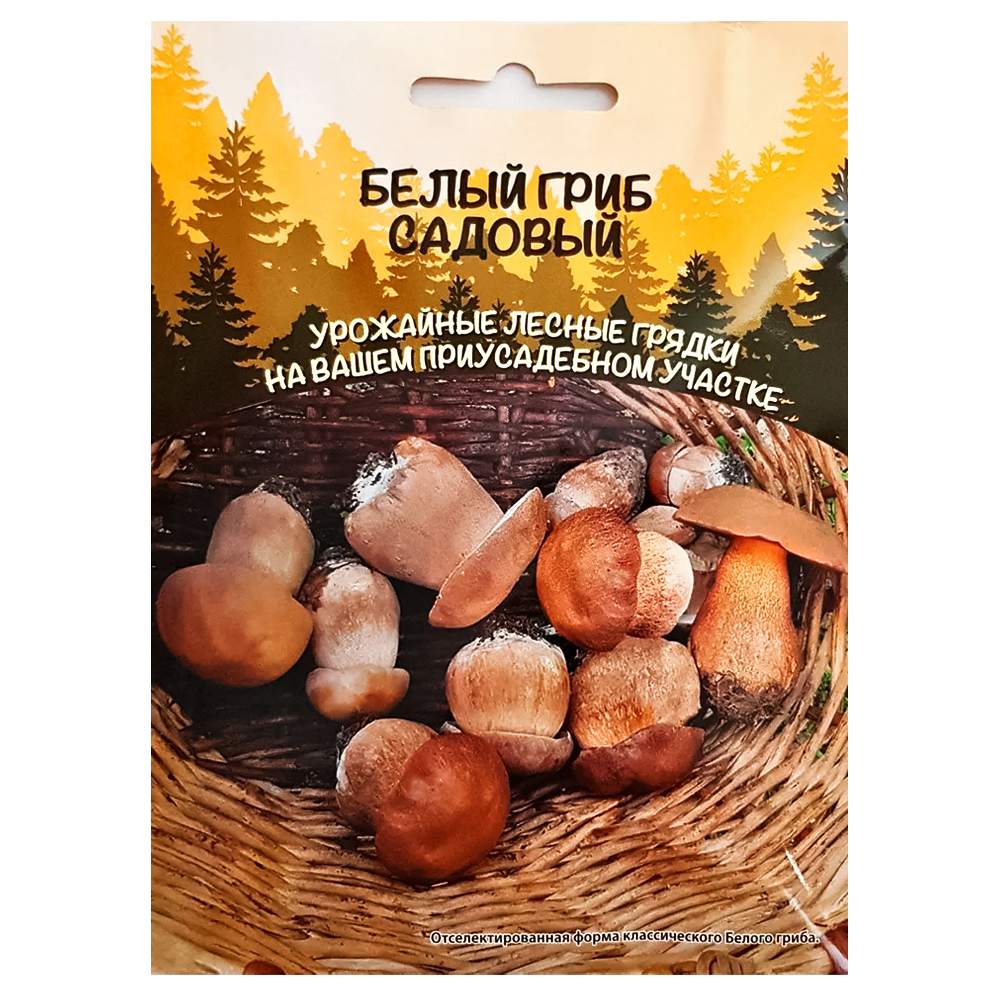 ���� ����� ���� ������� ��������� ������  