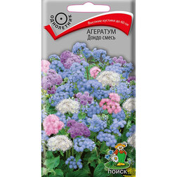 ���� �������� ����� �����  