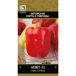 ���� ����� ������� ����� F1  