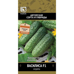 ���� ������ �������� F1  