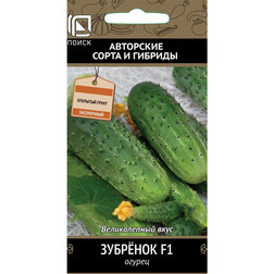 ���� ������ �������� F1  