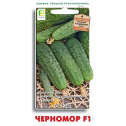 ���� ������ �������� F1  