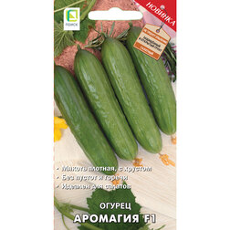 ���� ������ �������� F1  