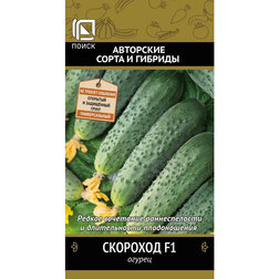 ���� ������ �������� F1  