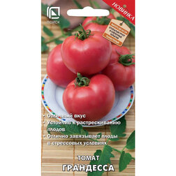���� ����� ���������  