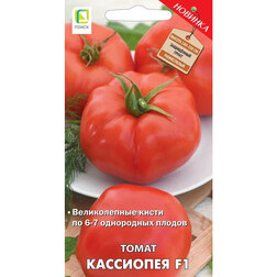 ���� ����� ��������� F1  