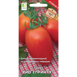���� ����� ��� ������ F1  