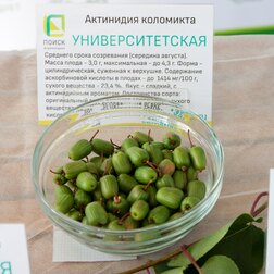 ���� ��������� ��������� ���������������  