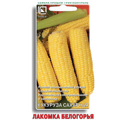 ���� �������� �������� ������� ���������  