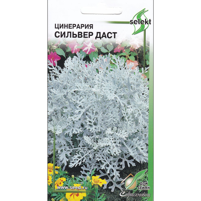 ���� ������ ��������� ��� ����� ������� ���� 15��  
