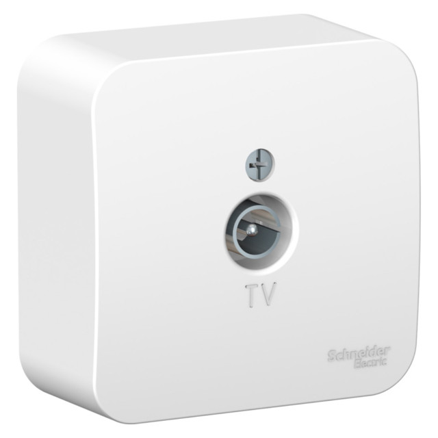 ���� ������� 1 ���� TV SYSTEME ELECTRIC Blanca �����  