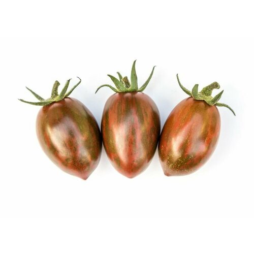    Negro (. Solanum lycopersicum)  10