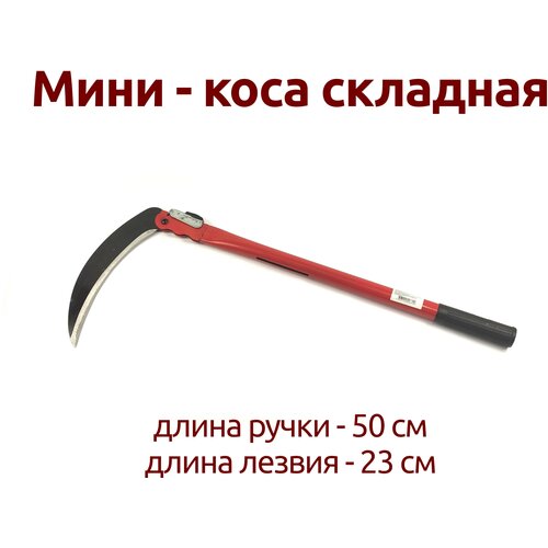 ���� ����-���� 50�� ��������