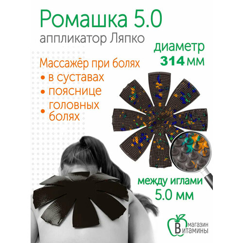 ���� ���������� ����� ������� � 5,0 (������ d-314 ��), ����������.