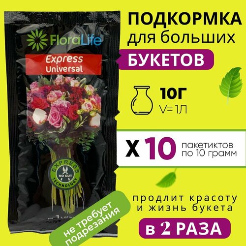   ,    ,  Floralife express universal, 10  10  -     , -,   