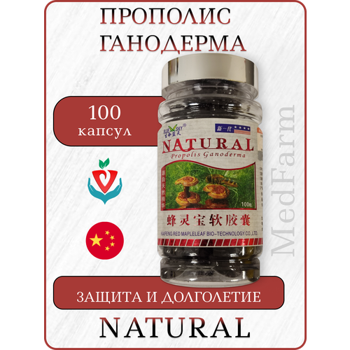 ���� �������� �������� � ���������, Propolis Ganoderma Natural, 100 ������
