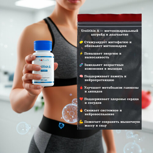 ���� UROLITHIN � (�������� �) 500�� / 60 ������