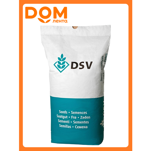 ���� ����� 420 ����� 5�� DSV