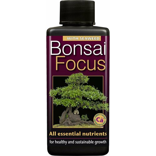    Bonsai Focus c       Growth Technology  100  -     , -,   