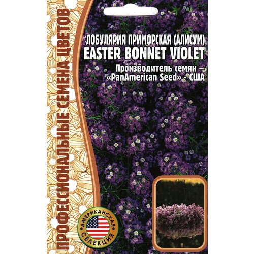    () Easter bonnet violet ( 1 : 20  )