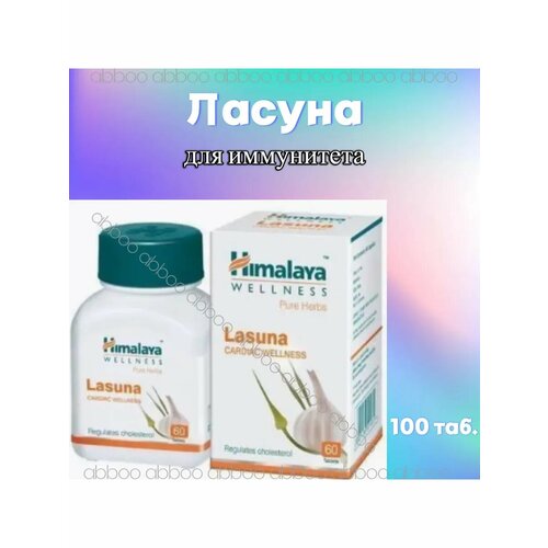 ���� ������ (Lasuna) ��� �������, 60 ���