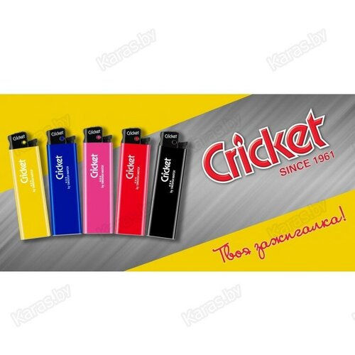    ,  Cricket () ED1 New Standard,  5  (5 )  -     , -,   